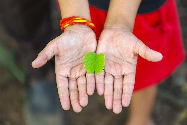 Czym jest ngo znaczenie w działalności społecznej?